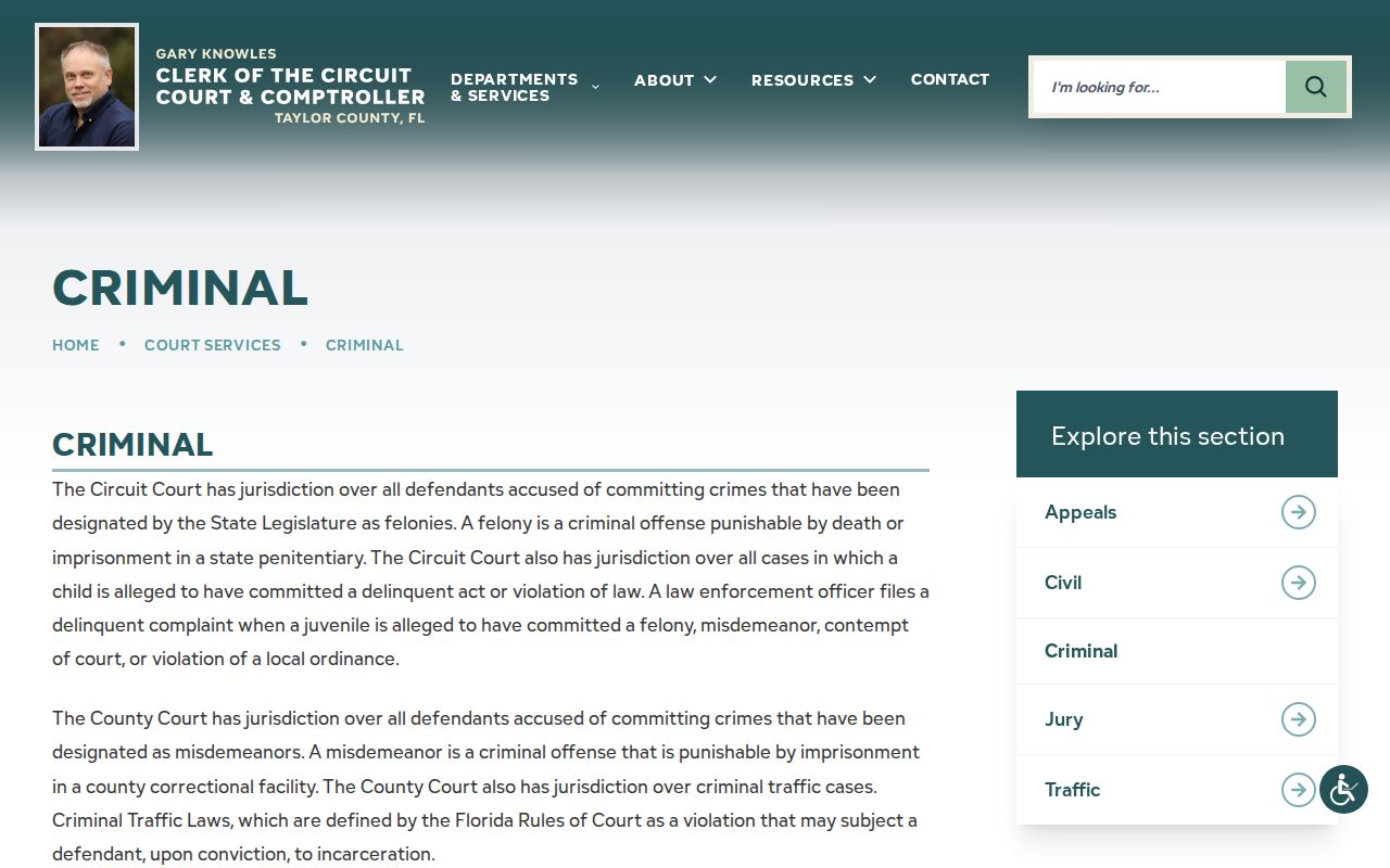 Taylor County Clerk criminal court services page